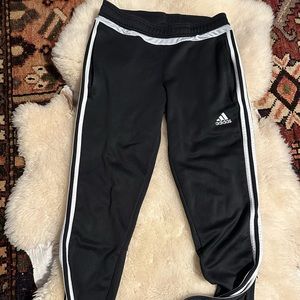 Adidas Trio 21 Track Pants